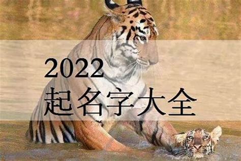 虎 2023 辰 名字 意思
